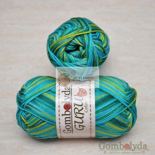 Guru Color 8685